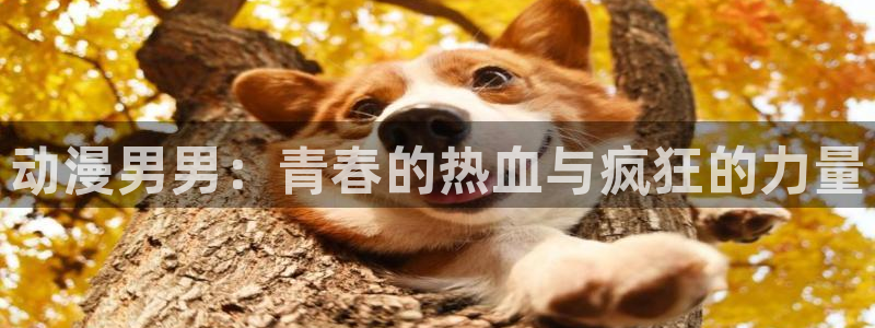 av羞羞动漫：动漫男男：青春的热血与疯狂的力量